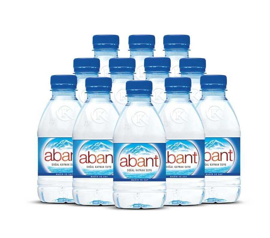 ABANT 0.33 LT 12 Lİ PET